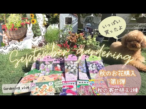  8月から9月に植えるべき球根は何ですか?秋の庭を彩る5つの花  庭園