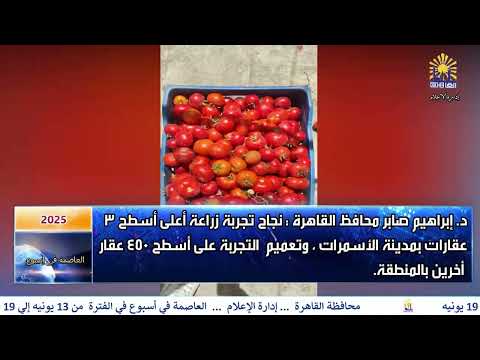 العاصمة فى اسبوع من 13 يونيه الى 19 يونيه 2025