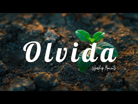 OLVIDA | Adoración Instrumental | Worship Moments music 17" min | Tiempo de oración y descanso.
