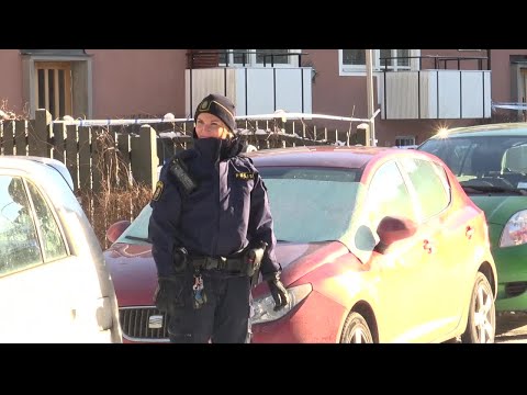 Beväpnad man skjuten i Svedmyra - Nyheterna (TV4)