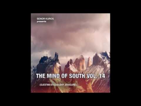The Mind of South volume 14 - GUESTMIX BY EVGUENY JEVAGUINE