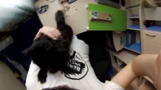 Two Door Cinema Club -- Kids