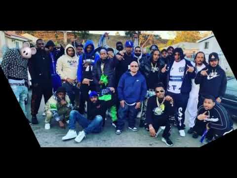 117st Politics isitBeezy