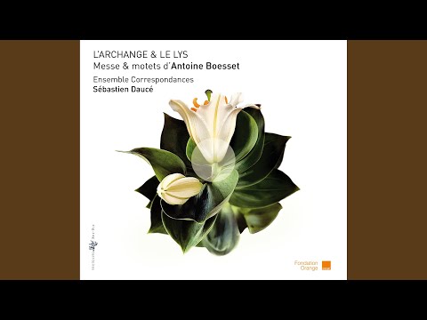 Antiphonae: Veni electa mea