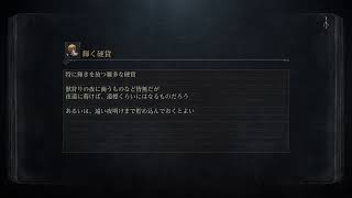脳筋極振り&全ボス撃破目指します　13