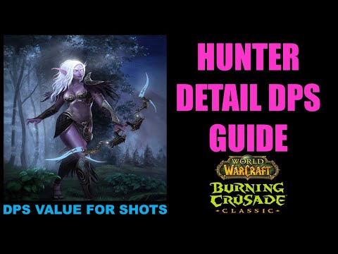 WOW TBC Classic: Hunter Detail DPS Guide / DPS Values for each Shot.