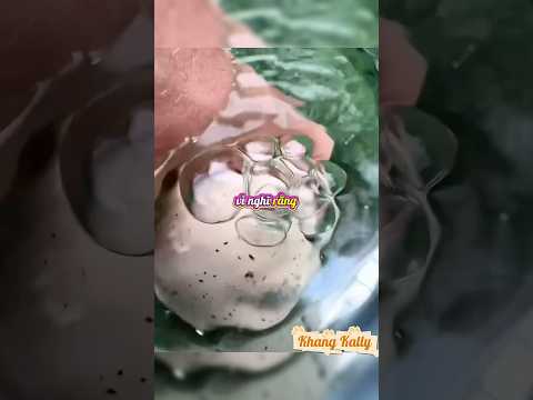 Cậu bé chờ 24 giờ cho trứng cá mập nở… kết quả ngoài tưởng tượng!