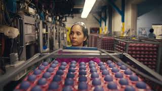 Business Success Stories: Why Companies Choose New Bedford