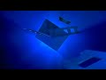 New Line Cinema 2003 Widescreen