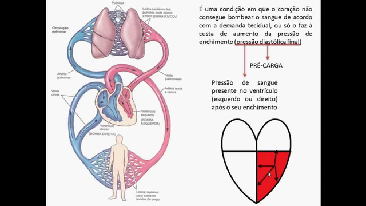 INSUFICIÊNCIA CARDÍACA - AULA 01