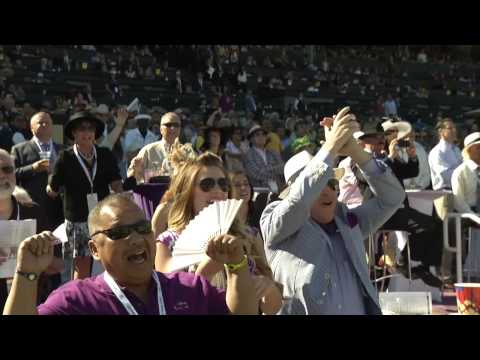 A Storybook 2013 Breeders' Cup Classic
