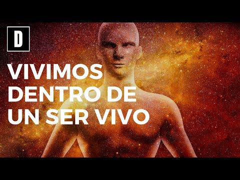 This theory will blow your mind, do we live inside a living being?