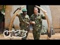 Elephant Poachers in Kenya