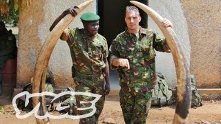 Elephant Poachers in Kenya