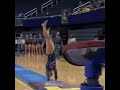 A Nearly Perfect Vault From Reyna Guggino