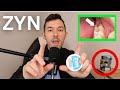 ZYN NICOTINE POUCHES (is zyn safe)?