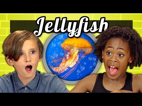 KIDS vs. FOOD #18 - JELLYFISH (KIDS vs. FOOD #18 - JELLYFISH)