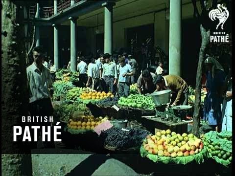 Out Takes / Cuts From Cp 730 - Reel 2 Of 3 - Madeira - Island Of Wine (1968)