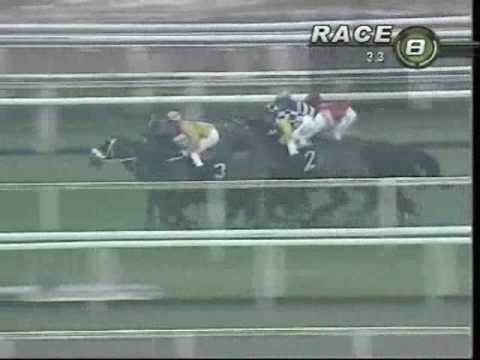 (新加坡)「高貴家園」NOBLE MANOR 場地臨場起變化下，依然輕鬆贏馬 (1/1/2010)