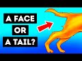 Optical Illusions Test Your Eyes And Reveal Your Personality Type