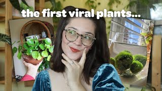 Are These Forgotten Houseplants Worth Remembering? 😬