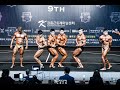2019 제9회 의정부시장기 및 제12회 미스터한북선발대회 보디빌딩 통합 [Uijeongbu Mayor's cup Bodybuilding]