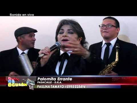 PALOMITA ERRANTE   PASACALLE   PAULINA TAMAYO