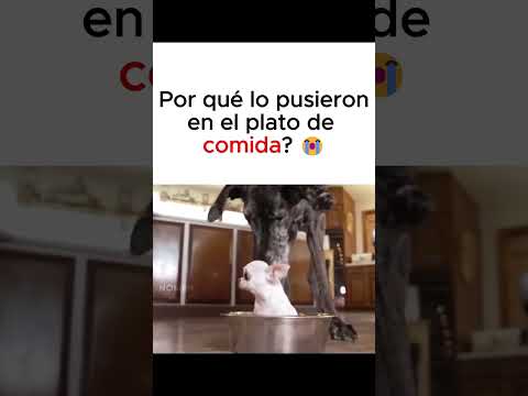 Mi primer doblaje sin título