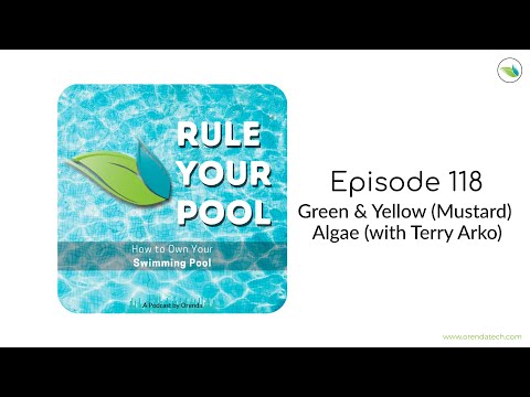 Green and Yellow Mustard Algae with Terry Arko | Rule Your Pool (Episode 118)