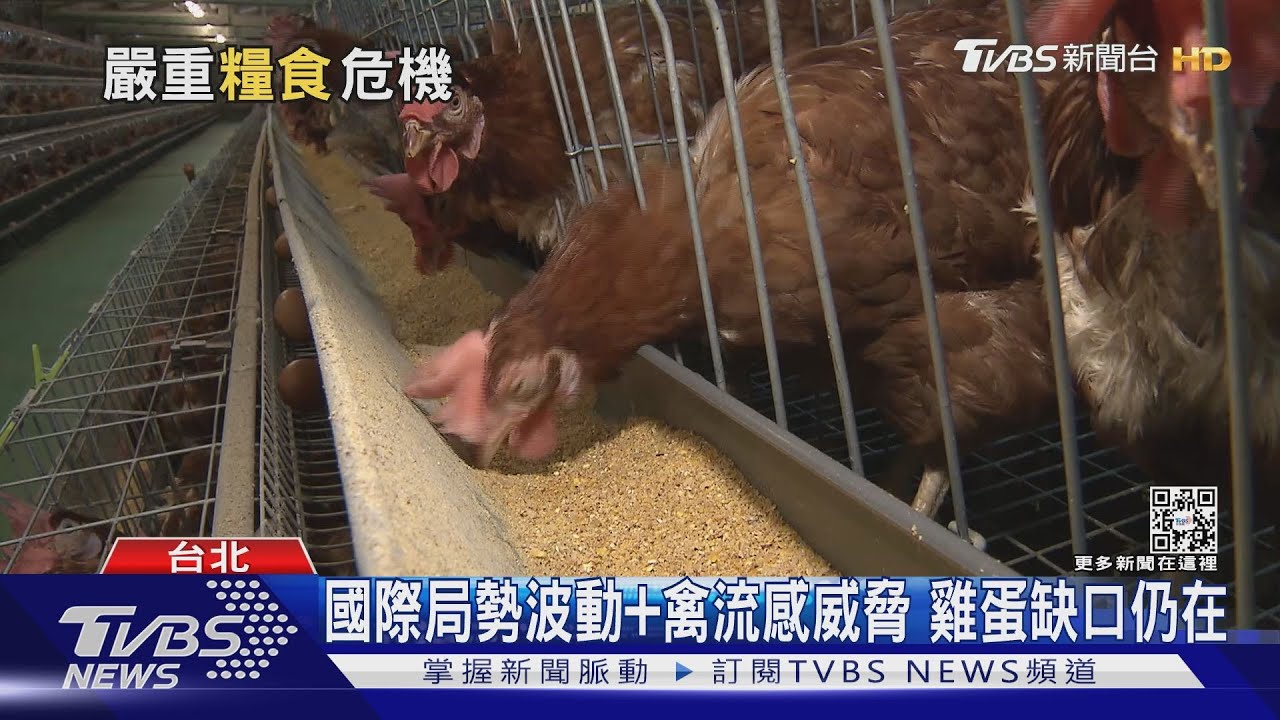 國際變動+氣候變遷 原物料漲價後恐引發「糧食危機」