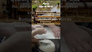 Download lagu Fakta sejarah Beras mp3