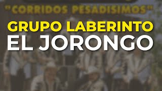 Grupo Laberinto - El Jorongo (Audio Oficial)