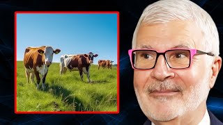 The SHOCKING TRUTH About Grass-Fed Grass-Finished Beef | Dr. Steven Gundry