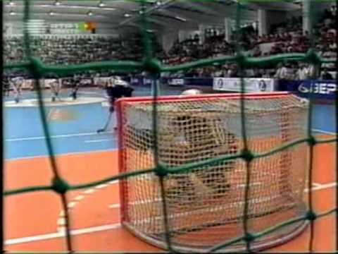 Hóquei em Patins: FC Porto - Barcelos do jogo do título 03/04 (2 de 3)