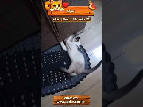 Vídeo de Mymi