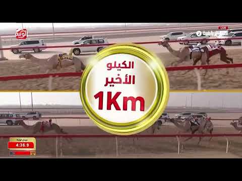 ش 17 (صدى) لـ خليل راشد بن علي الشامسي 6:07:58 ، شارة الديوان 2026/9/12 لقايا الوثبة