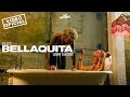 Dalex - Bellaquita ft. Lenny Tavárez (Video Oficial)