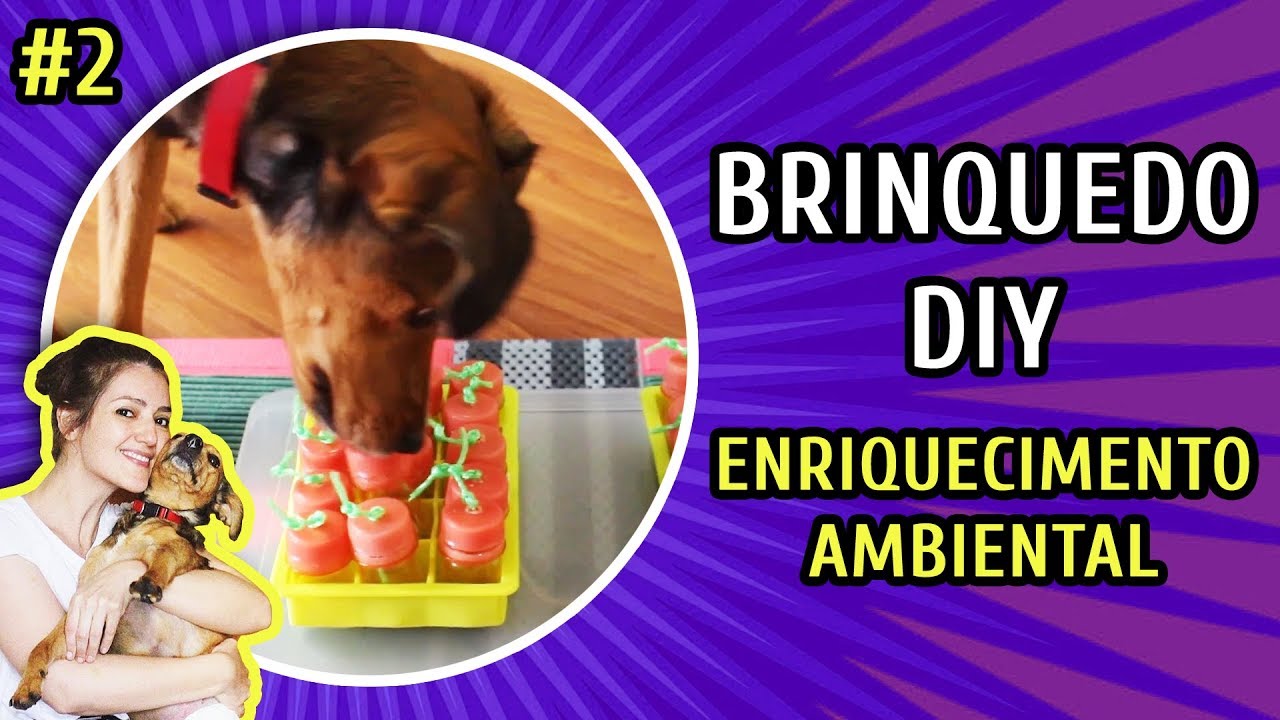 CAÇA AO TESOURO - BRINQUEDO PARA CACHORRO | DIY com Eu Você e os Cachorros