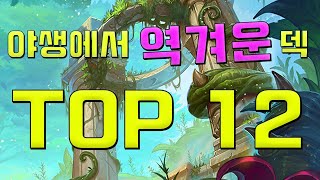 야생의 역겨운 덱들 12가지