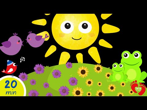 Baby Sensory Colors | High Contrast Visuals & Soft Music for Baby Stimulation