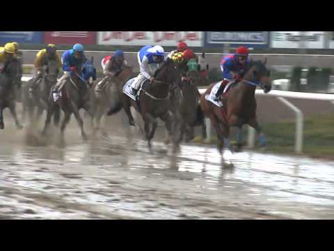 Galoppderby 2010 på Jägersro i Malmö