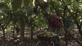 Remény az Amazonas vidékén [angol]