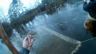 Ссылка