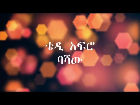Teddy afro Bashaw ቴዲ አፍሮ ባሻው (Lyrics video)