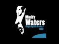 Muddy Waters - Hey, Hey