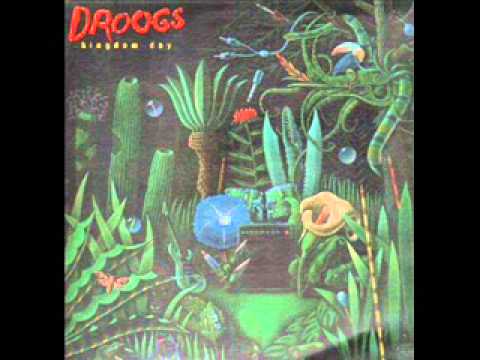 The Droogs - Stranger in the rain