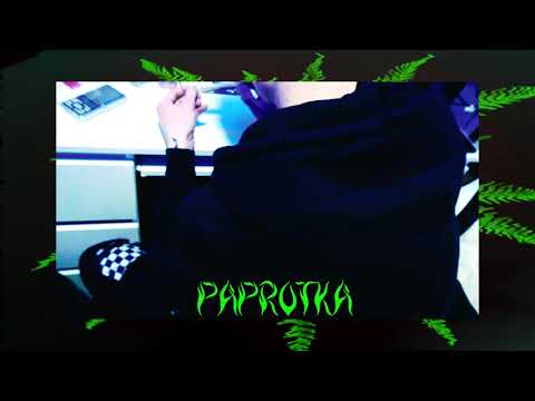 Raverav - Paprotka // 2019