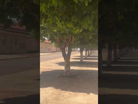 19 de março de 2026
