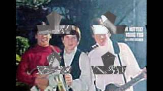 Dino Desi and Billy - The Rebel Kind