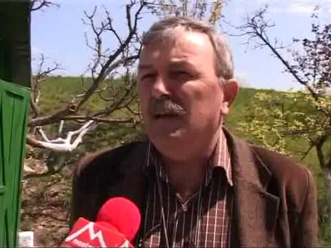 Pamantul ne-a avertizat